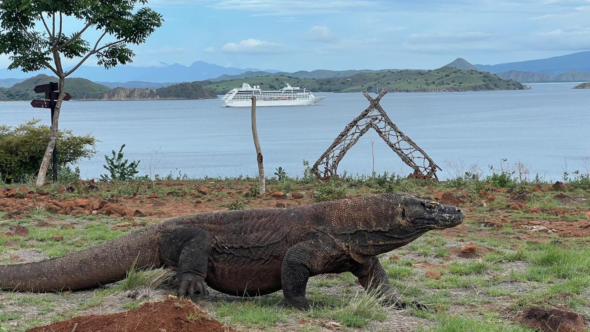 Jhuna Komodo Homestay Exterior photo